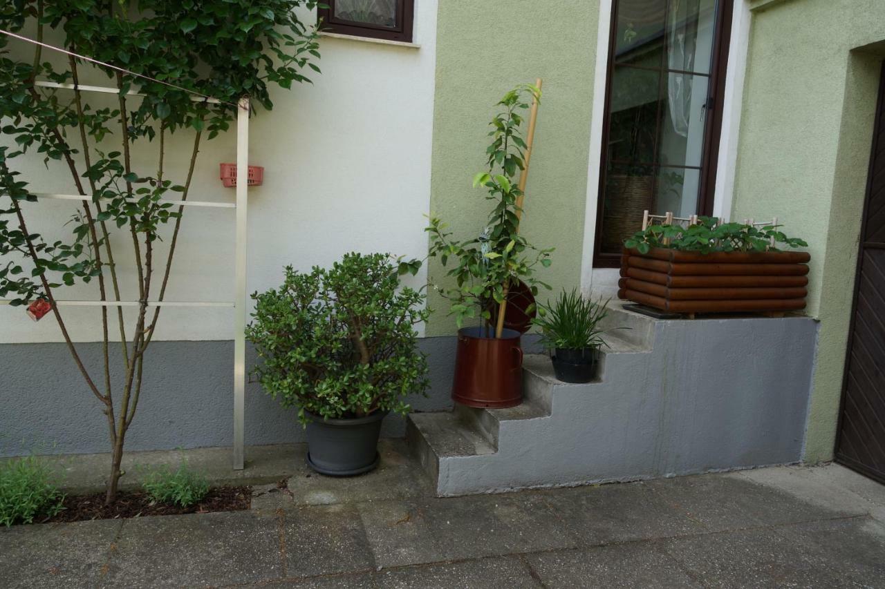 Willa Zur Weinlaube Mönchhof Zewnętrze zdjęcie